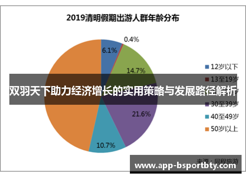 双羽天下助力经济增长的实用策略与发展路径解析 双羽天下助力经济增长的实用策略与发展路径解析