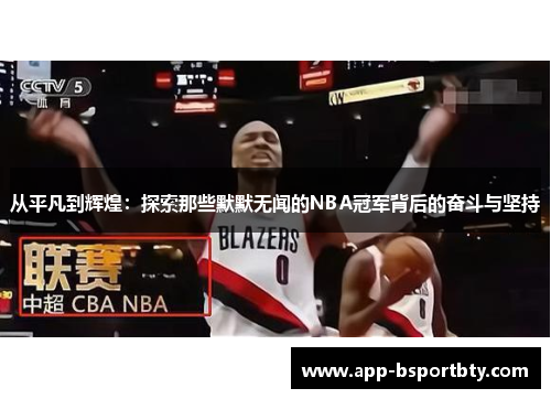 从平凡到辉煌：探索那些默默无闻的NBA冠军背后的奋斗与坚持