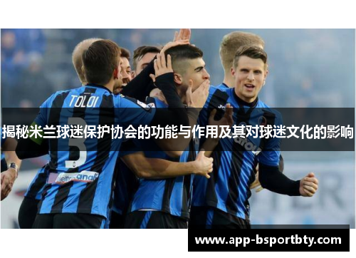 揭秘米兰球迷保护协会的功能与作用及其对球迷文化的影响