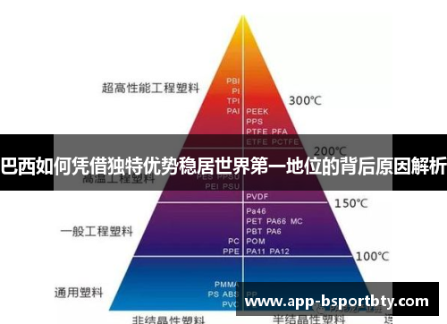 巴西如何凭借独特优势稳居世界第一地位的背后原因解析 巴西如何凭借独特优势稳居世界第一地位的背后原因解析