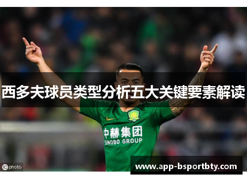 西多夫球员类型分析五大关键要素解读