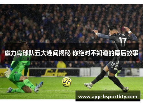 魔力鸟球队五大趣闻揭秘 你绝对不知道的幕后故事
