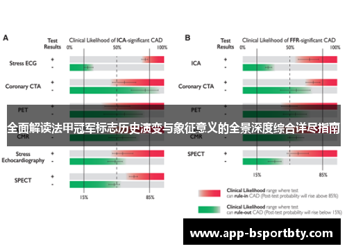 全面解读法甲冠军标志历史演变与象征意义的全景深度综合详尽指南 全面解读法甲冠军标志历史演变与象征意义的全景深度综合详尽指南