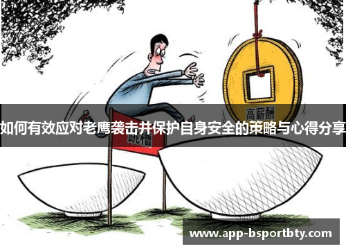 如何有效应对老鹰袭击并保护自身安全的策略与心得分享