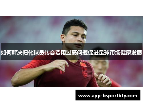 如何解决归化球员转会费用过高问题促进足球市场健康发展