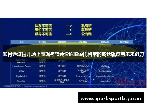 如何通过提升场上表现与转会价值解读托利索的成长轨迹与未来潜力