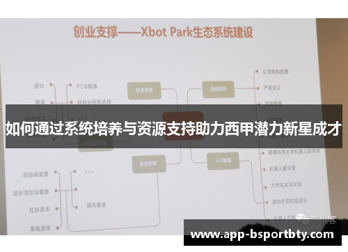 如何通过系统培养与资源支持助力西甲潜力新星成才 如何通过系统培养与资源支持助力西甲潜力新星成才
